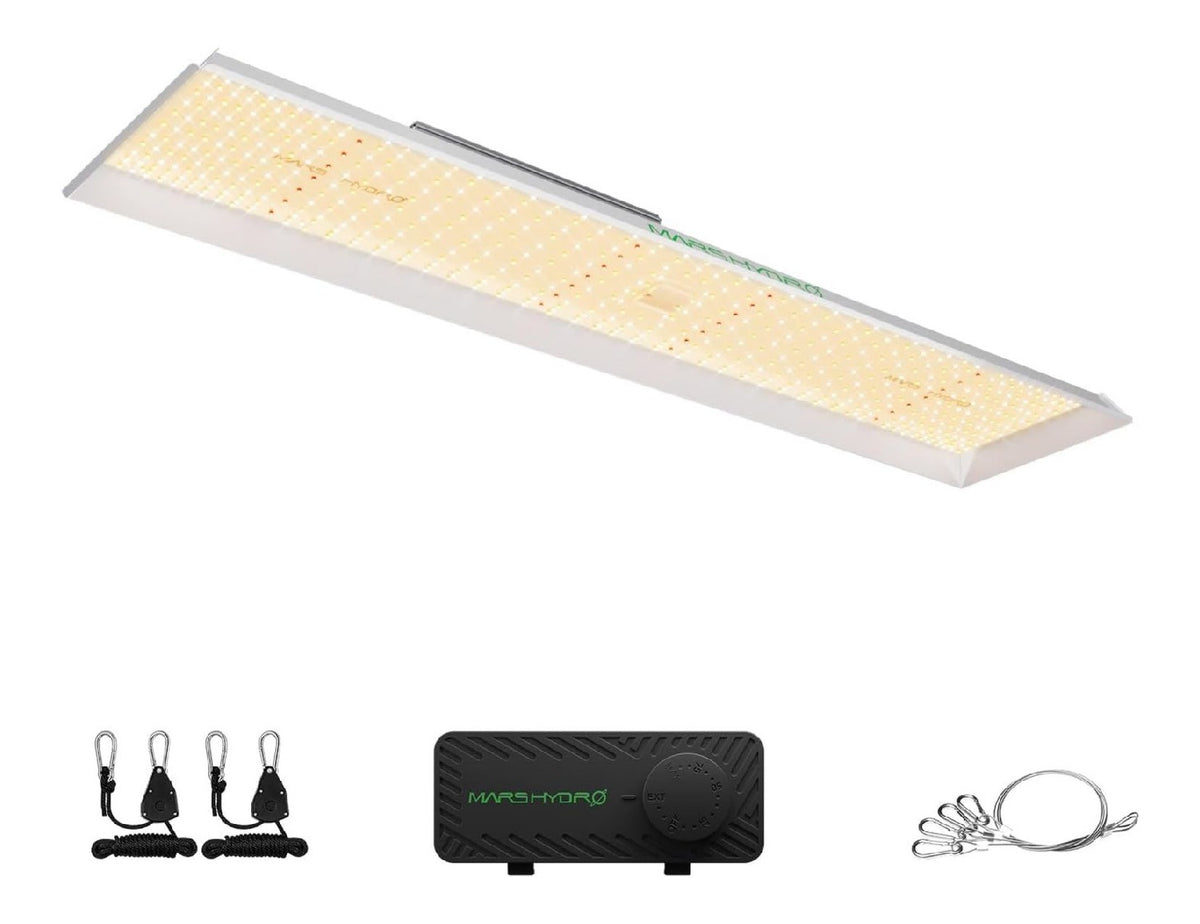 LUCE LED ALTA design per giardino, Lampade da coltivazione indoor 300W