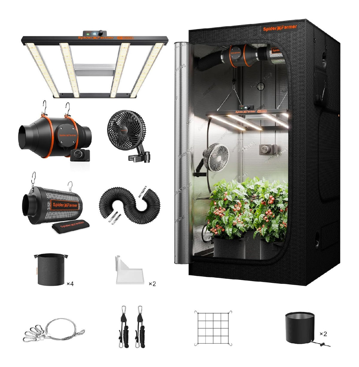 Set completo coltivazione confezione per giardino, Kit per la germinazione 10cm 70 kg