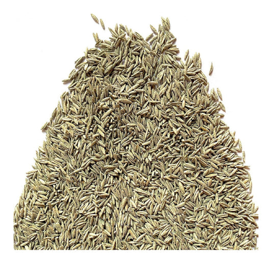 Festuca Arundinacea varieta Renditon Prato 5 Kg 1,0 cm