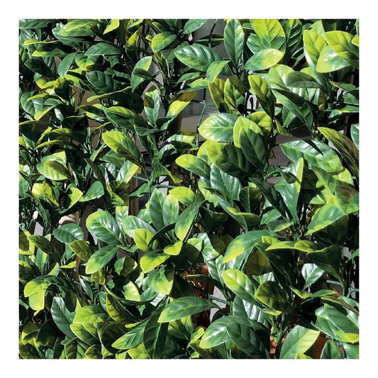 Recinzioni decorative per uso esterno Riproduce l'aspetto gradazioni colore