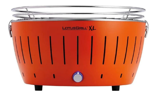Barbecue a carbone The smokeless experience