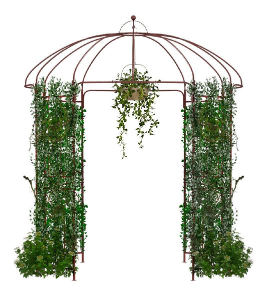 Pergolati 15 cm con Pergola forma gabbia uccelli