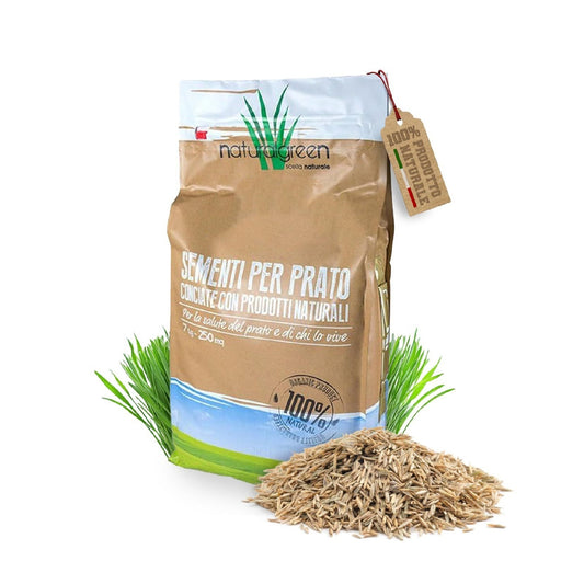 Fertilizzanti per il prato per uso esterno INGLESE FITTO Semi selezionati 1kg